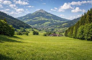 Gewerbeimmobilie kaufen in 6361 Hopfgarten-Markt, Landwirtschaftliche Flächen in Hopfgarten