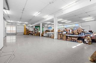 Büro zu mieten in Kolpingstraße, 1230 Wien, Lagerfläche | Außergewöhnliches Objekt mit großem Potential zur Vermietung | Variante (3)