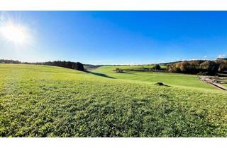 Grundstück zu kaufen in 4851 Gampern, Traumhaft gelegenes Baugrundstück