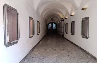 Immobilie mieten in 9800 Spittal an der Drau, Auslagen zum Mieten. Hier könnte Ihre Werbung stehen. Starke Frequenz - mitten in Spittal/Drau.