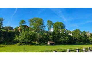 Einfamilienhaus kaufen in 2871 Zöbern, Neuer Preis! Modernisiertes Einfamilienhaus mit ca. 166 m² Wohnfläche, Garten, Garage und Keller