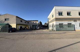 Gewerbeimmobilie kaufen in 2380 Perchtoldsdorf, Großzügige Gewerbefläche in absoluter Toplage von Perchtoldsdorf