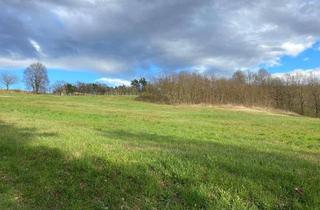 Grundstück zu kaufen in Krobotheckstraße, 7543 Kukmirn, Grundstück in Hanglage – 3.266 m² Bauland & 10.641 m² Landwirtschaftsfläche in Kukmirn