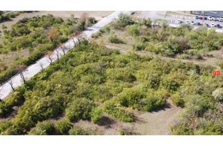 Grundstück zu kaufen in 2601 Sollenau, Betriebsbaugrundstück im Industriegebiet Sollenau (NÖ)