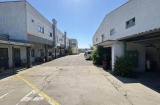 Immobilie kaufen in 2380 Perchtoldsdorf, Großzügige Gewerbefläche in absoluter Toplage von Perchtoldsdorf