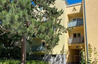 Wohnung mieten in Winzerstraße 6-8, 1130 Wien, Gemütliche 1-Zimmer Wohnung in Wien Hietzing