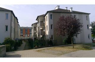 Wohnung mieten in Spinnereipark 4/3, 2486 Pottendorf, Pottendorf | Geförderte 3-Zimmer-Mietwohnung | Top 4/3 | 1.OG mit Loggia