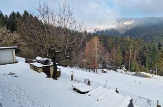 Lager kaufen in 8510 Stainz, Naturparadies für Tier- & Pferdeliebhaber - Fischteich und Reitplatz in 8510 Stainz/Weststeiermark