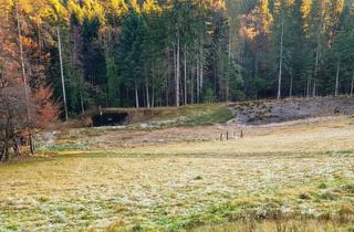 Lager kaufen in 8510 Stainz, Naturparadies für Tier- & Pferdeliebhaber - Fischteich und Reitplatz in 8510 Stainz/Weststeiermark