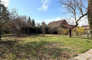 Haus kaufen in 3130 Herzogenburg, Haus mit 4 Zimmern, Terrasse & Garten in Herzogenburg zu kaufen