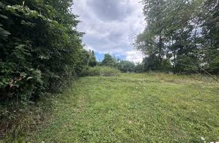 Grundstück zu kaufen in 3413 Kirchbach, Preisreduktion - Traumhaftes Baugrundstück in idyllischer Lage von Kirchbach, Niederösterreich - Perfekt für Ihr Eigenheim!