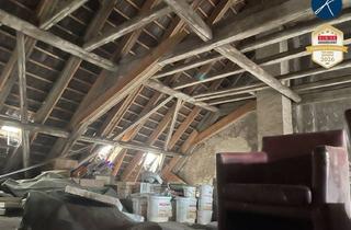 Anlageobjekt in 2700 Wiener Neustadt, Stadthaus am Domplatz