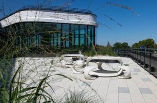 Büro zu mieten in 1300 Mannswörth, Moderne Büroflächen mit top-Ausstattung in der Airportcity in 1300 zu mieten