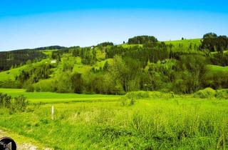 Grundstück zu kaufen in 9462 Bad St. Leonhard im Lavanttal, Am Puls der Zeit- Gewerbegrundstücke an der Autobahnauffahrt Bad St. Leonhard Anschlussstelle A2 in Richtung Klagenfurt und Richtung Graz