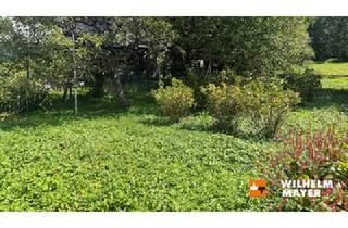 Grundstück zu kaufen in 6845 Hohenems, GRUNDSTÜCK B (478 m²) HOHENEMS-ERLACH