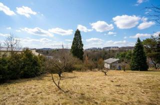 Grundstück zu kaufen in 3033 Altlengbach, Aufschließungsabgabe bezahlt! Großzügiges Baugrundstück in mittlerer Hanglage an der Grenze zu Eichgraben