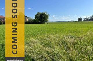 Grundstück zu kaufen in 4925 Pramet, Traumhaft sonnige Baugrundstücke, voll aufgeschlossen & ohne Bauzwang in Pramet