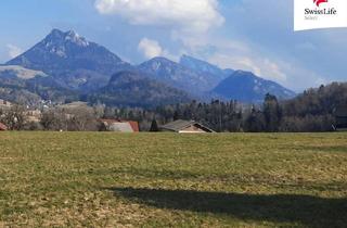 Grundstück zu kaufen in 5322 Hof bei Salzburg, Ein BAUGRUNDSTÜCK mit Panoramablick und kurzer Distanz zum Fuschlsee