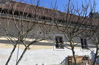 Haus kaufen in 8384 Minihof-Liebau, Historischer Dreiseithof mit schönen Gewölbedecken sucht neue Eigentümer