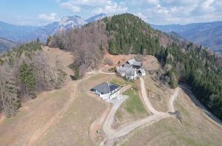 Bauernhäuser zu kaufen in Gschwendt 22/22a, 8130 Frohnleiten, Absolute Alleinlage! 23 ha Naturidyll mit Wohnhaus, Bauernhof & Nebengebäuden