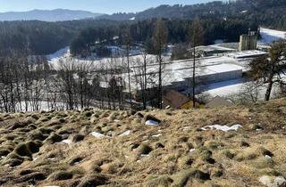 Grundstück zu kaufen in 8551 Wies, Hanglage mit Potenzial - Grundstück nahe Wies