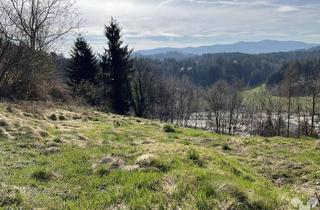 Grundstück zu kaufen in 8551 Wies, Hanglage mit Potenzial - Grundstück nahe Wies