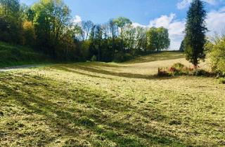 Grundstück zu kaufen in 4631 Krenglbach, Großes Grundstück in sonniger Ruhelage
