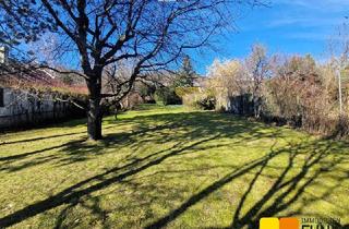 Haus kaufen in 2371 Hinterbrühl, Charmantes Haus auf wunderbarem Grundstück