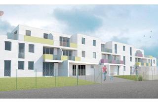 Wohnung mieten in Pframa 137, 2305 Pframa, TOP1/9-Pframa-Wiedervergabe-2Zi-OG-Loggia-Balkon- 1 PKW-Abstellplatz