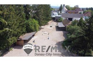 Grundstück zu kaufen in 2486 Siegersdorf, "Projektliegenschaft mit Entwicklungspotenzial!"