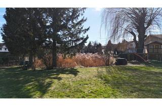 Grundstück zu kaufen in 2753 Dreistetten, Dreistetten - herrliches Baugrundstück in sonniger Lage