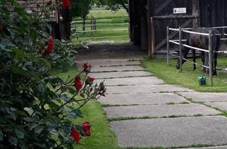 Bauernhäuser zu kaufen in Hauptstraße 22, 2225 Zistersdorf, Pferdeparadies mit Bauernhaus