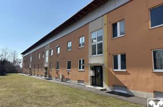 Wohnung kaufen in Bäckermühlweg, 4030 Linz, Eigentumswohnung Bäckermühlweg