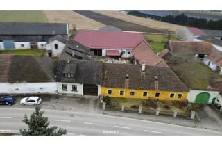 Bauernhäuser zu kaufen in 3454 Buttendorf, Vierkanter mit großem Innenhof und vielseitigen Nutzungsmöglichkeiten in Buttendorf