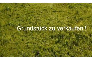 Grundstück zu kaufen in 6380 Sankt Johann in Tirol, Großzügiges Grundstück in Traumlage