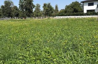 Grundstück zu kaufen in 5121 Ostermiething, BAUGRUNDSTÜCK OHNE BAUZWANG in Ostermiething