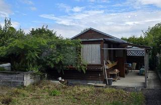 Grundstück zu kaufen in 2514 Traiskirchen, Ruhelage an den Weingärten