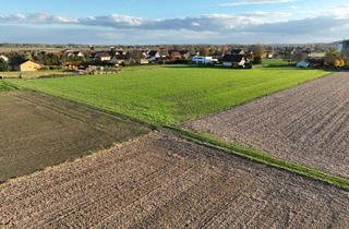 Grundstück zu kaufen in Zeltingerstraße, 8490 Bad Radkersburg, Traumhaftes wunderschönes Baugrundstück in Bad Radkersburg ***perfekte Lage***