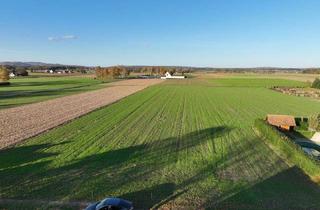 Grundstück zu kaufen in Zeltingerstraße, 8490 Bad Radkersburg, Traumhaftes wunderschönes Baugrundstück in Bad Radkersburg ***perfekte Lage***