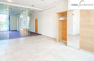 Büro zu mieten in Attemsgasse, 1220 Wien, Repräsentative Gewerbefläche 295m² mit großer Terrasse in Frequenzlage – Attemsgasse 7 | 1220 Wien