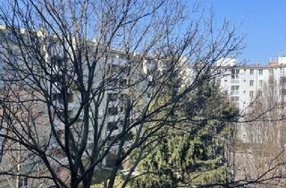 Wohnung kaufen in Lorenz Böhler Krankenhaus, 1200 Wien, Helle und ruhige Zweizimmerwohnung in tollem Zustand nähe Millenium City