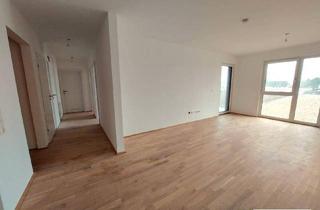 Wohnung mieten in Felix Iribauer-Straße, 3200 Ober-Grafendorf, provisionsfrei - charmante und sonnige 3-Zimmer-Wohnung mit Loggia und wunderschönem Freiblick -inkl. PKW-Stellplatz – Neubau! Erstbezug! - Nähe St. Pölten