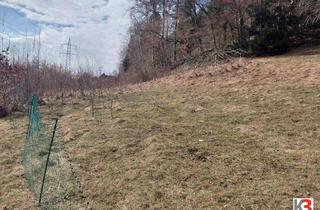 Grundstück zu kaufen in 9220 Velden am Wörther See, Idyllisches Grundstück in Velden am Wörthersee- Fahrendorf