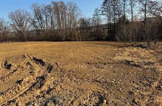 Grundstück zu kaufen in 8264 Riegersdorf, Sonnige Baugründe in ruhiger Lage in Riegersdorf - Nähe Großwilfersdorf! Provisionsfrei