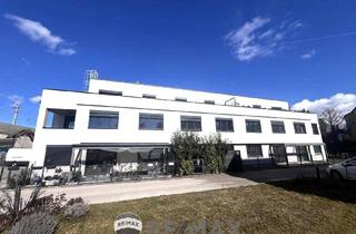 Wohnung kaufen in 2700 Wiener Neustadt, "Wohnung mit Balkon und Parkplatz"