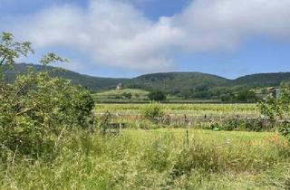 Grundstück zu kaufen in 2504 Sooß, 2.059 m² für Ihr Eigenheim - Traumhaftes Baugrundstück in Sooß