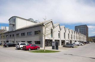 Büro zu mieten in Mariahilfstraße 29, 6900 Bregenz, Gewerbefläche Top 13 Shedhalle