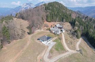 Bauernhäuser zu kaufen in Gschwendt 22/22A, 8130 Frohnleiten, Absolute Alleinlage! 23 Ha Naturidyll mit Wohnhaus, Bauernhof & Nebengebäuden