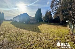 Haus kaufen in 4910 Ried im Innkreis, Ein schöner Platz zum Wohnen!