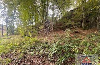 Haus kaufen in 4224 Wartberg ob der Aist, Seltene Gelegenheit in der Nähe von Linz: Haus mit Geschichte und Weitblick!